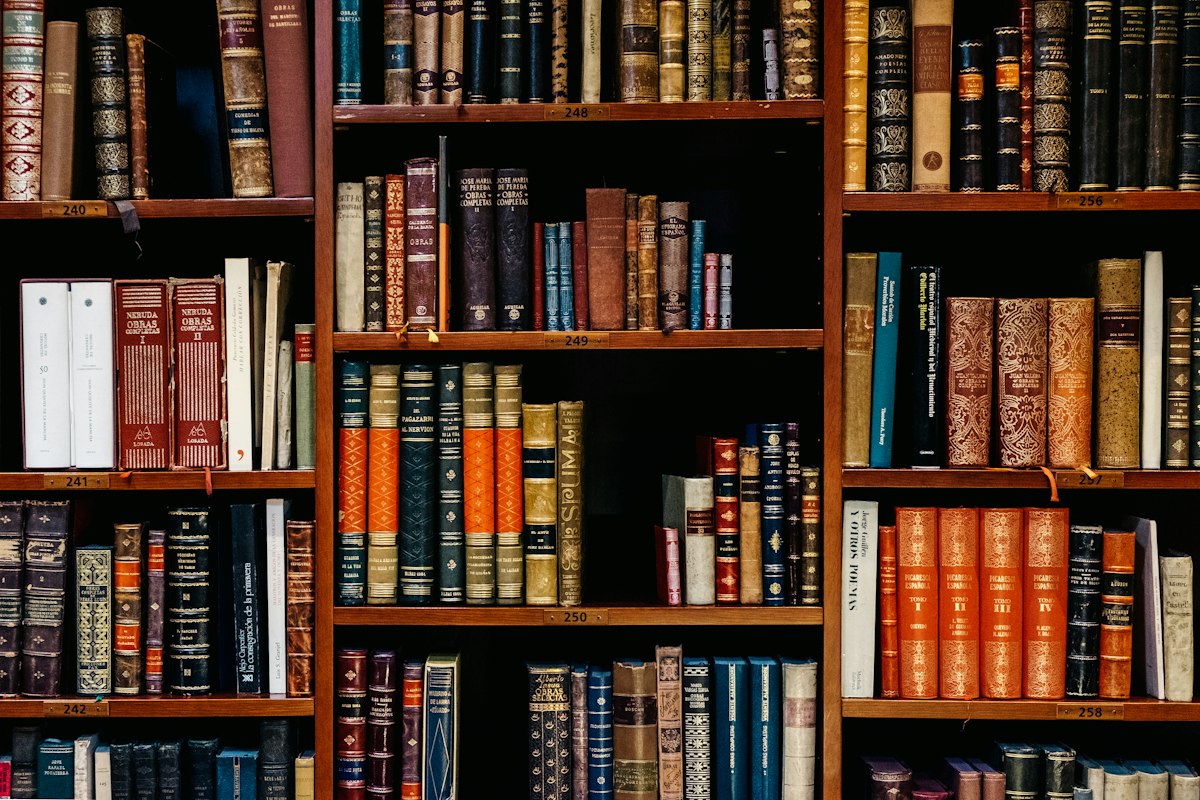 Solid Hardwood Library Bookshelf